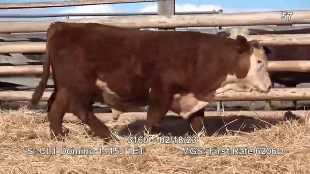 Lot 57 ~ H5 1115J Domino 3160 смотреть онлайн