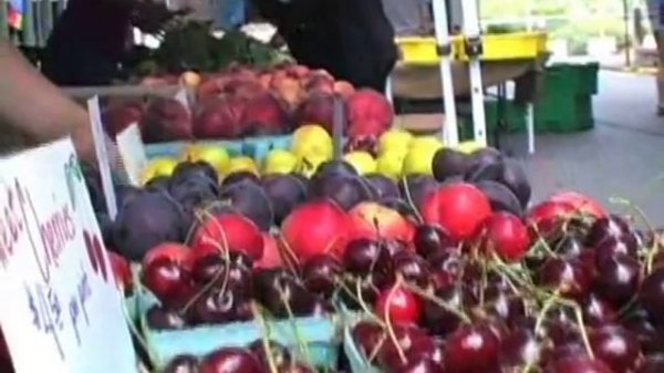 Visit Uptown Kingston NY, Hudson Valley, VISIT vortex