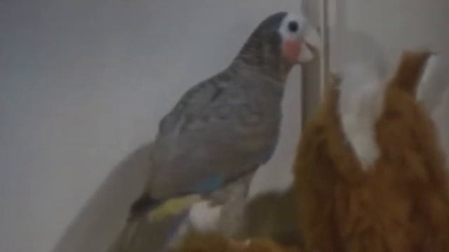 Квартира №50. Выпуск 30.06.23. Гости в студии - Дарья Муравьёва и Светлана Фростова. смотреть онлайн