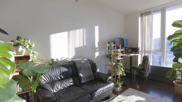 1009 1833 Crowe Street смотреть онлайн