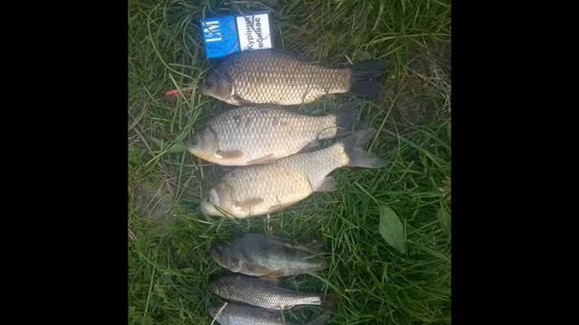 Рибалка 2016-2017р Fishing 2016-2017 смотреть онлайн