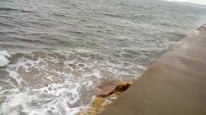АНГЛИЯ. КАК МЫ ЖИВЕМ НА ЮЖНОМ ОСТРОВЕ