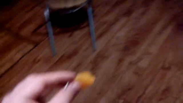 Апельсиновая собачка смотреть онлайн