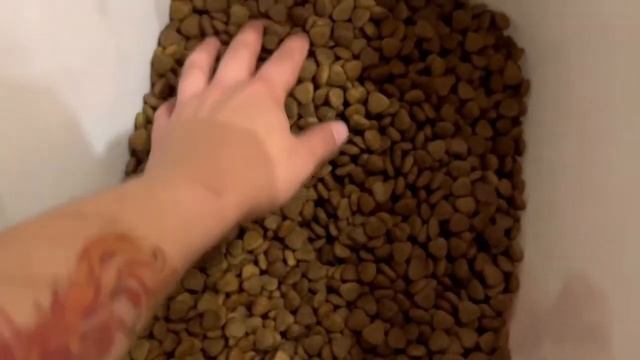 Распаковка — Корм для собак Unica Natura Maxi ягненок, рис, бобы смотреть онлайн