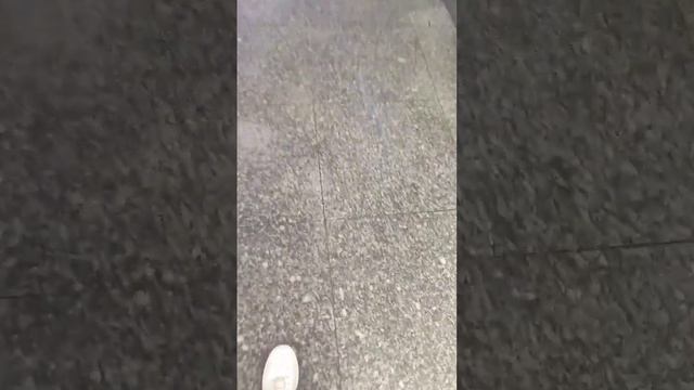 Осуществила мечту спустя 21 год. Кристина Древаль смотреть онлайн