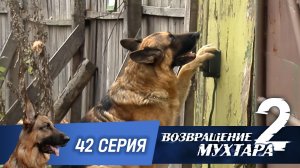 «Возвращение Мухтара — 2». 42 серия. «Срочно в номер»