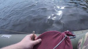 Рыбалка на перетягу 2020!!!Ставим сомовники!Экспериментируем с наживкой!!!