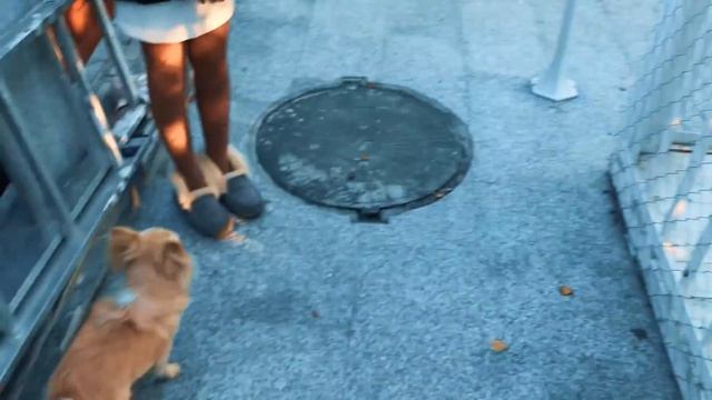 Заряд Бодрости. Домик Принцессы. Блин По-Французски смотреть онлайн