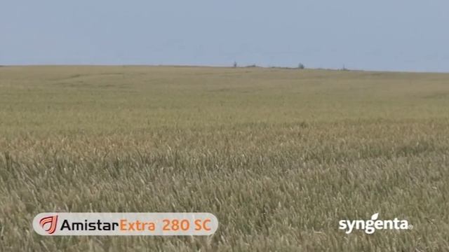 Zastita pšenice Amistar Extra смотреть онлайн