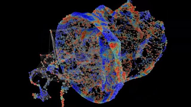 Maya Mash test смотреть онлайн