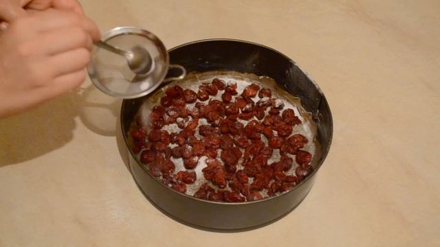 Домашние Животные и Их Уход