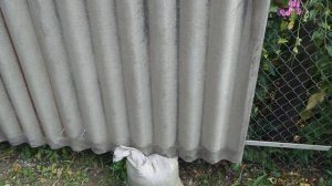 Недорогои забор из шифера своими руками