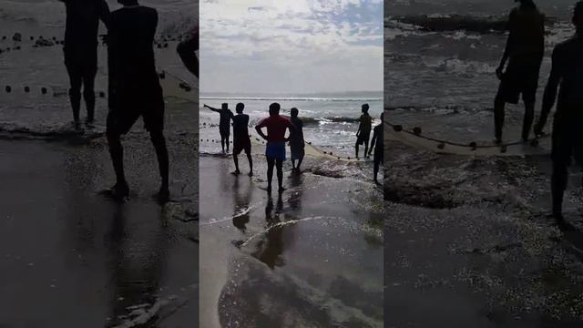 বঙ্গোপসাগরে নৌকা দিয়ে মাছ ধরা смотреть онлайн