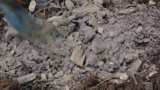 Древесная зола - удобрение и защита от вредителей