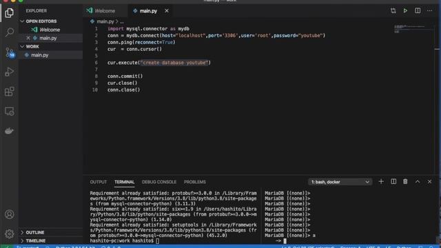 Pythonで簡単！プログラムからMariaDB操作 смотреть онлайн