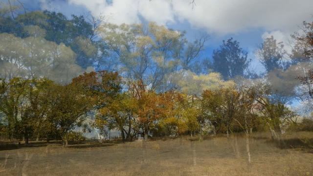 Прекрасный район Войкова.Керчь.Приморский парк. Одинокий лебедь на скале. Уж небо осенью дышало... смотреть онлайн