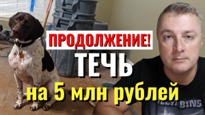 Как идет РЕМОНТ и Сани во Флориде. Часть вторая