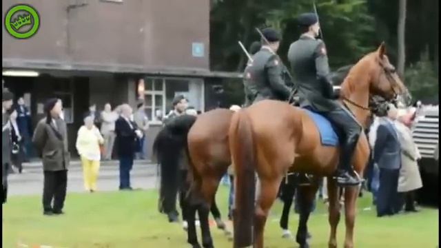 Служить лошадь не очень хочет смотреть онлайн