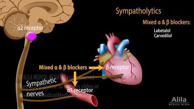 Antihypertensive Medications - Pharmacology, Animation.mp4 смотреть онлайн