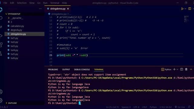 Python 8: String Datatype смотреть онлайн