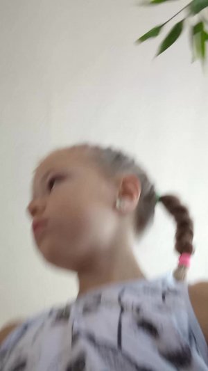 утро собачка сквиши