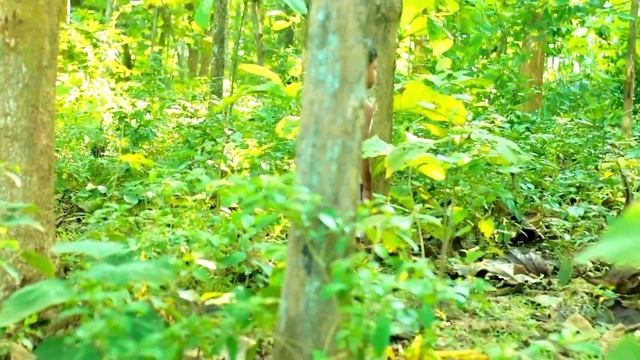 tiger atttack on man in the forest | royal bangal tiger atttack man fun made movie | part 17 смотреть онлайн