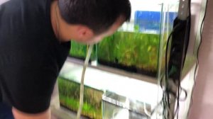 Как правильно обслуживать аквариум