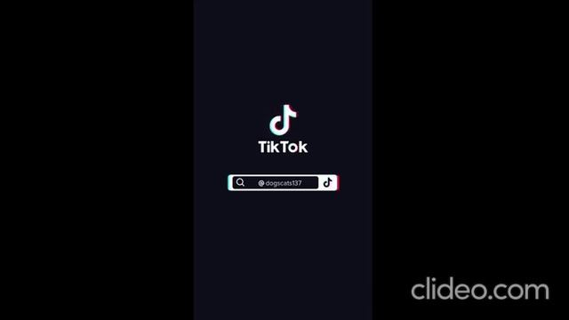 приколы из тик-ток смотреть онлайн