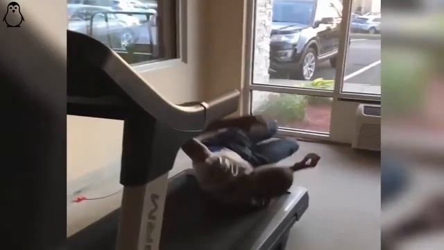 Фейлы в Спортзале / Epic Gym Fails