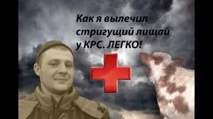 Как вылечить стригущий лишай у КРС.  Симптомы и лечение!.