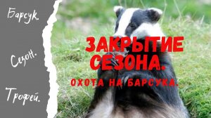 Закрытие сезона  Охота на барсука