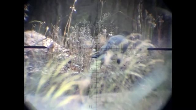 Охота на ворону с PCP смотреть онлайн