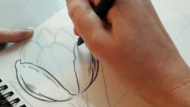 How to Draw 🌷Tulips🌷 смотреть онлайн