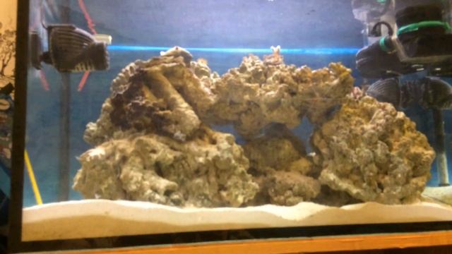 Обзор аквариума и проблема с пленкой на поверхностью смотреть онлайн