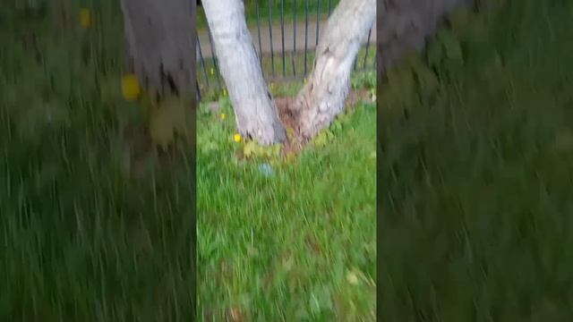 питание бутылки