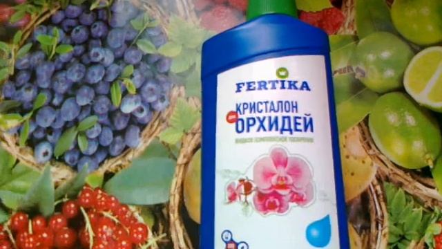Кристалон для орхидей от компании Фертика. смотреть онлайн