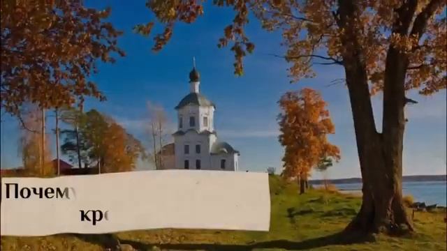 ВЫПУСК 12❗ смотреть онлайн