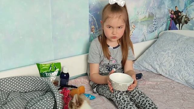 Сбылась моя мечта 🥹 Купили щенка Чихуахуа 🐕 Покупки для собаки 💖 Длинношерстный чихуахуа🐶 смотреть онлайн