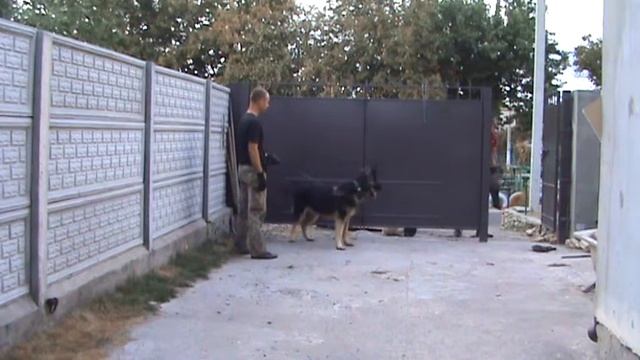 Развитие злобы молодого немца Рей смотреть онлайн