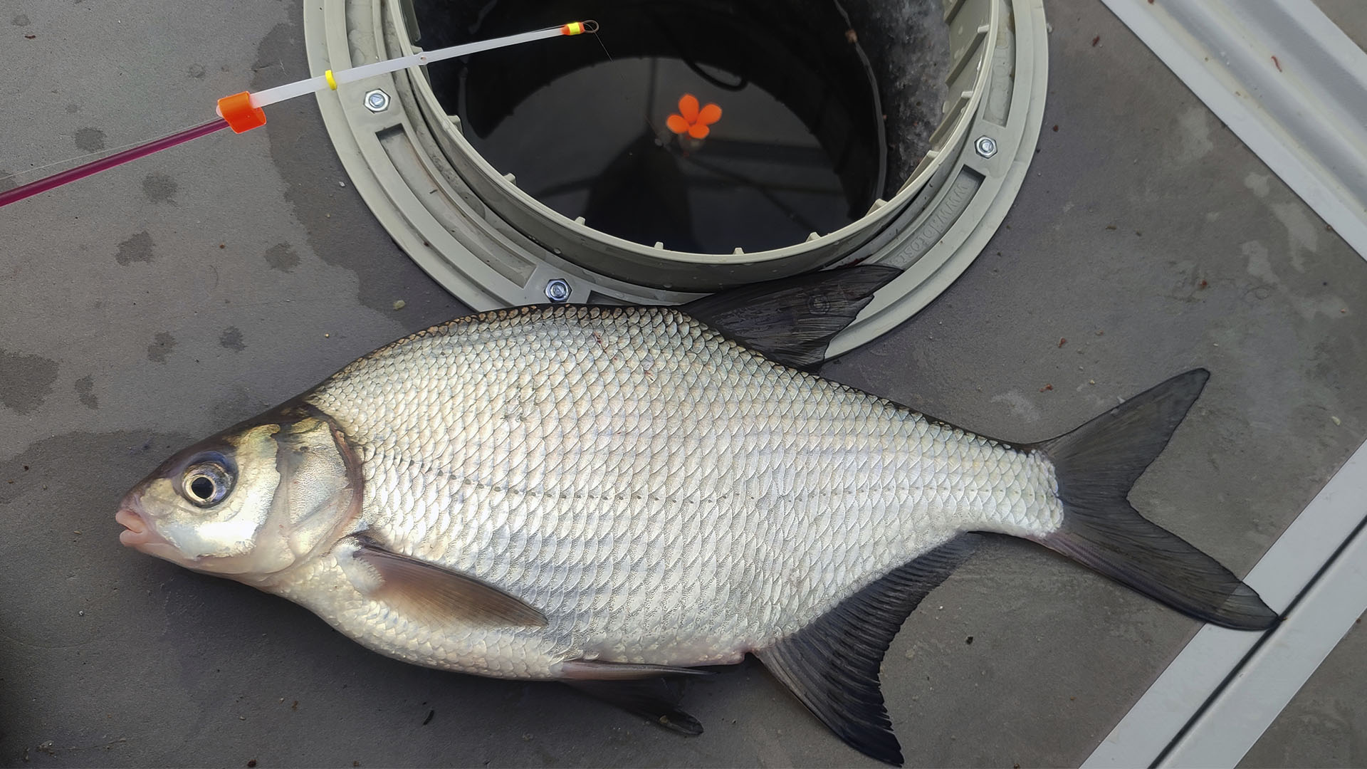 Ловля леща в глухозимье и сильное снижение давления 755-738 мм рт. ст. смотреть онлайн