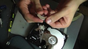 Добыча неодимовых магнитов из жесткого диска HDD