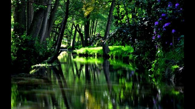 Музыка птиц и воды для сна, расслабления, снятия стресса и медитации дзен релакс смотреть онлайн