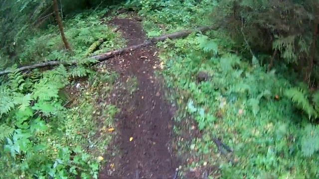 мишка косолапый 2020 №96 смотреть онлайн