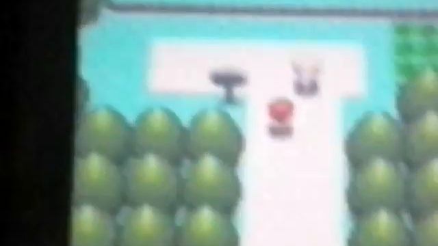 Lets play pokemon perl part 1 german смотреть онлайн