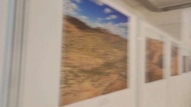 Сходил в музей природы на Выставку «Динозавры» смотреть онлайн