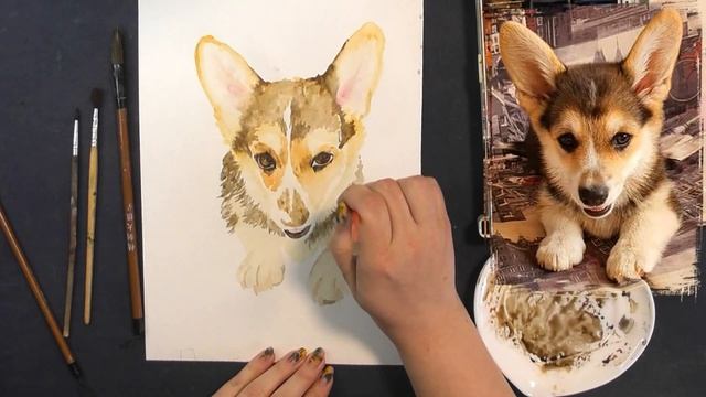 Акварельный корги по фотографии на заказ. Ни дня без кисти #33 смотреть онлайн