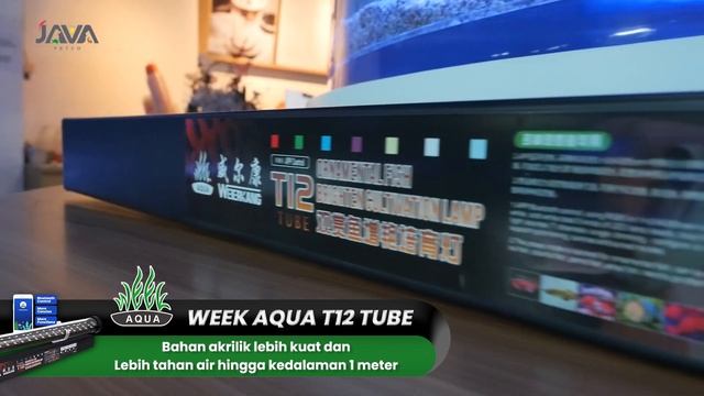 INI DIA HASIL PROGRESS 60 HARI TANNING AROWANA SUPER RED! смотреть онлайн
