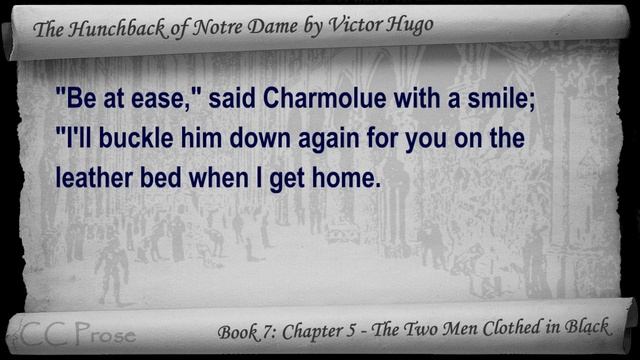 Book 07 - Chapter 5 - The Hunchback of Notre Dame by Victor Hugo - The Two Men Clothed in Black смотреть онлайн