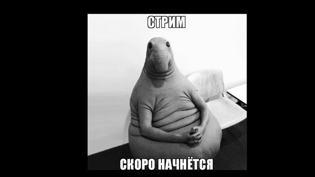 KsuJenTV смотреть онлайн