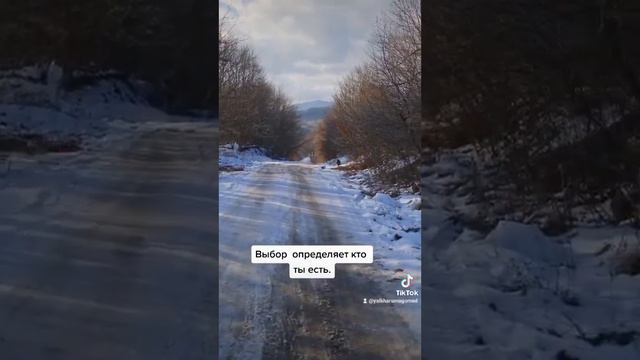 Выбор определяет твою жизнь в этом мире как экзамен для конечного мира.